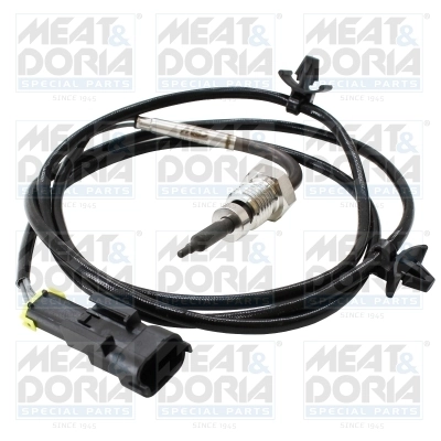 Sensor, exhaust gas temperature